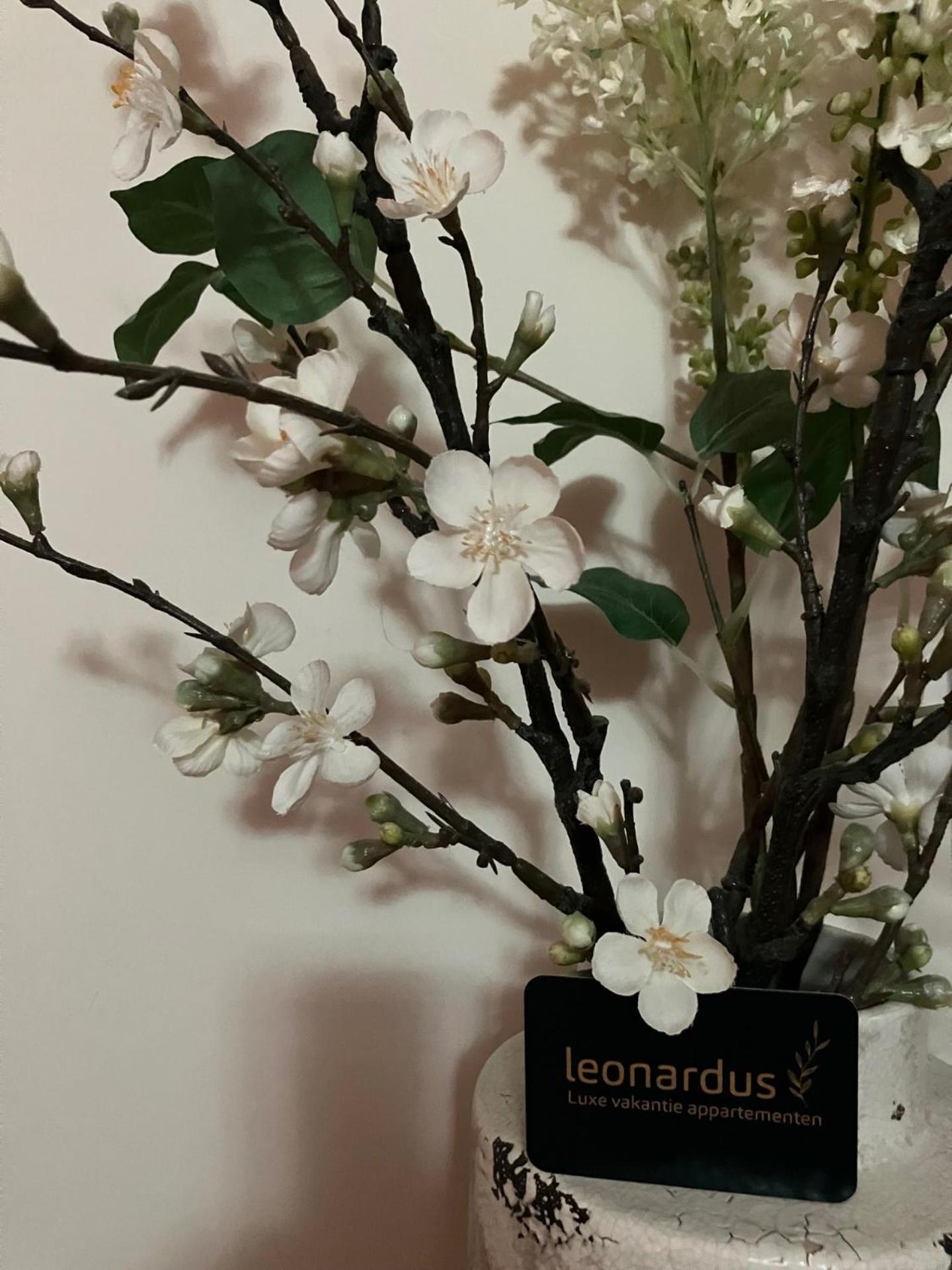 Luxe Appartementen Leonardus Valkenburg aan de Geul Esterno foto